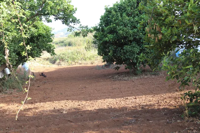 SOLAR URBANO CON FINCA RUSTICA — 4
