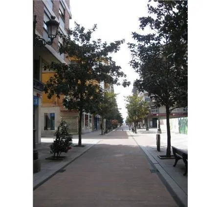 ALQUILER: Oficina Centro Ponferrada — 12