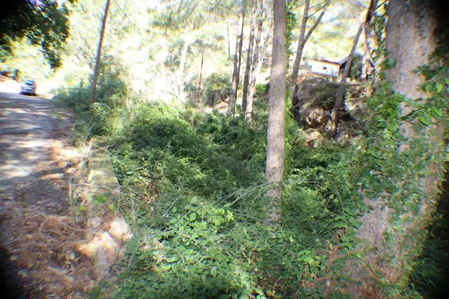 LA NORIA VENDE PARCELA URBANA EN BENICASSIM CASTELLON URBANIZACION EL REFUGIO DESIERTO LAS PALMAS — 16