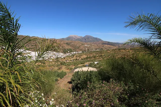 Finca rural con proyecto turístico en Tolox (Málaga) - 6.000 m² — 16