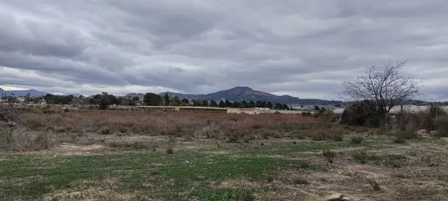 SE VENDE TERRENO A 20 MINUTOS DE ALICANTE CON AGUA Y CASA PARA REFORMAR — 5
