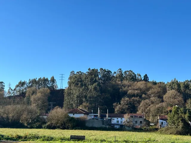 Gran terreno en Ampuero - foto 4