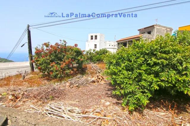 Solar urbano en Venta en San Andres Y Sauces Santa Cruz de T - foto 4
