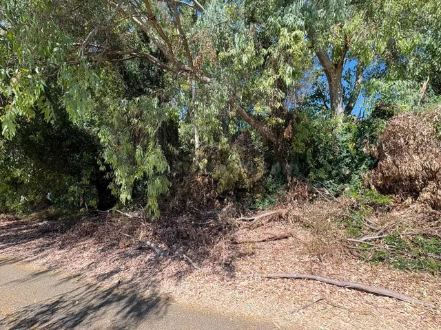 PARCELA EN VENTA – ZONA SANSUEÑA BRILLANTE - foto 2