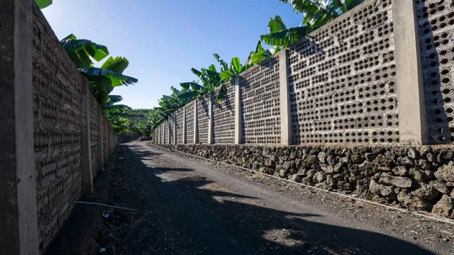 OPORTUNIDAD ÚNICA: GRAN FINCA DE 31.000 M2, secciones URBANA, RÚSTICA, ASENTAMIENTO RURAL Y AGRÍCOLA — 15