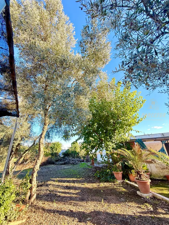 Casa de Campo en La Barquera, Córdoba — 24