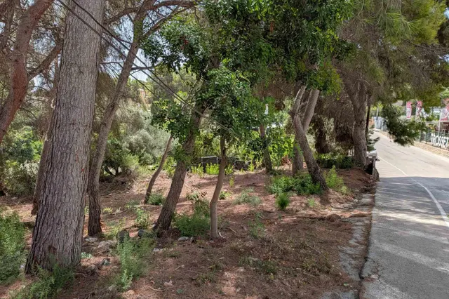 Parcela en venta - Pinar de Advocat-Cometa — 15