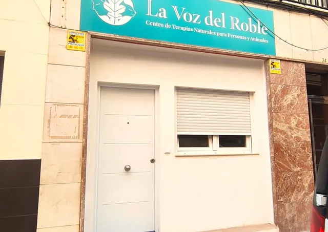 Local Comercial en el Corazón de Elche - foto 3