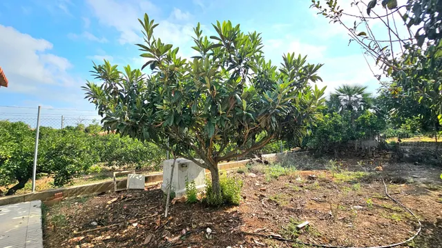Encanto rural, tranquilidad y naturaleza en Les Coves (Corbera) — 28