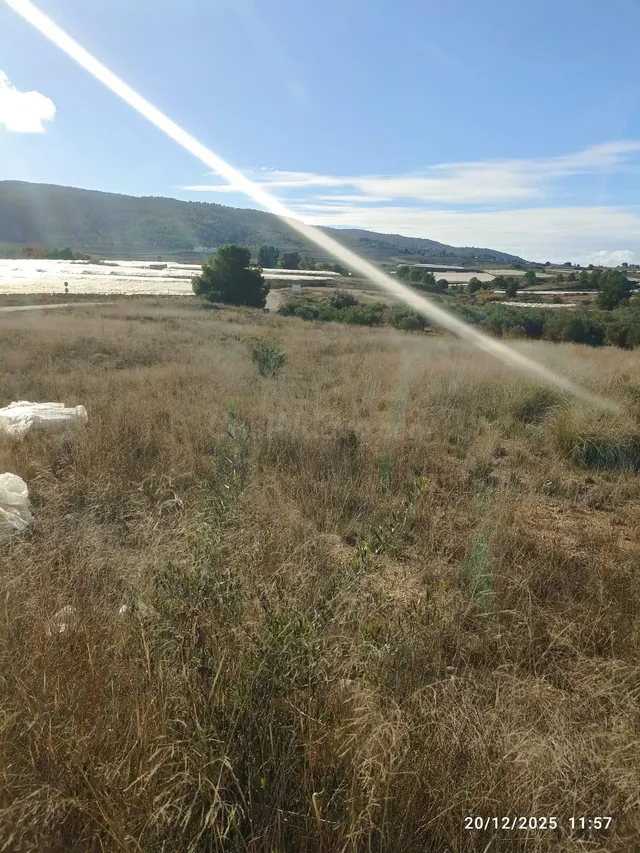 Terreno en Venta en Aledo - foto 2