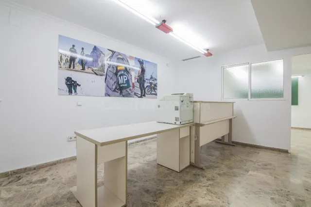 ALQUILER DE ENTRESUELO COMERCIAL EN ZONA MUY CENTRICA !!!!! - foto 5