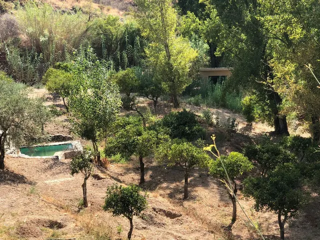 Finca rústica 1 habitación 48m² en venta - South of spain — 18