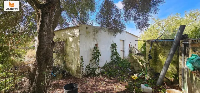 La Finca de los Sueños – Proyecto GARCIAGOS, 11.325 m2, Suel - foto 3