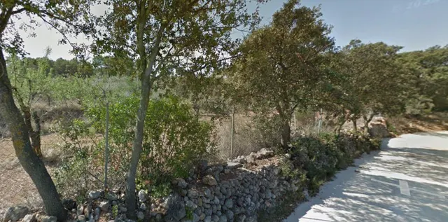 MASIA VALLADA CON PISCINA, ZONA PARA CABALLOS Y MAS DE 2 HECTAREAS DE TERRENO — 47