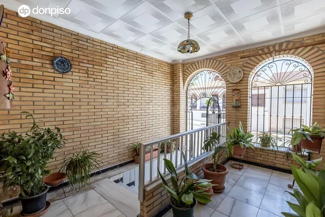 Gran casa en una sola planta con bajo de 130 m2 y solar de 3 - foto 3