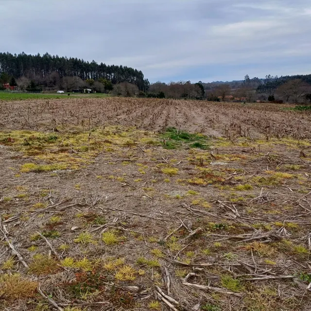 SE VENDE CASA DE ALDEA EN ARZUA PARA REFORMAR — 7