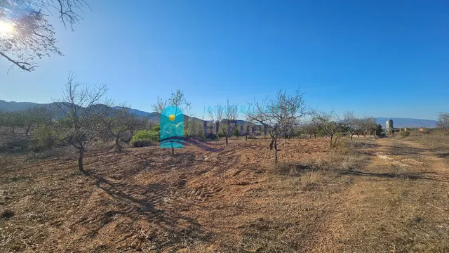 GRAN TERRENO JUNTO A LOS ALTOS DE LAS PALAS – REF. 2112 - foto 2