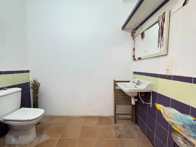 Nave en zona urbana con 264 m2 y con jardín de 114 m2 orientado al sur, garaje y gran potencial como estudio profesional. — 21