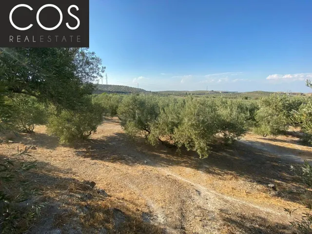 Parcela 40m² en venta - Urbanizacion azahar — 2