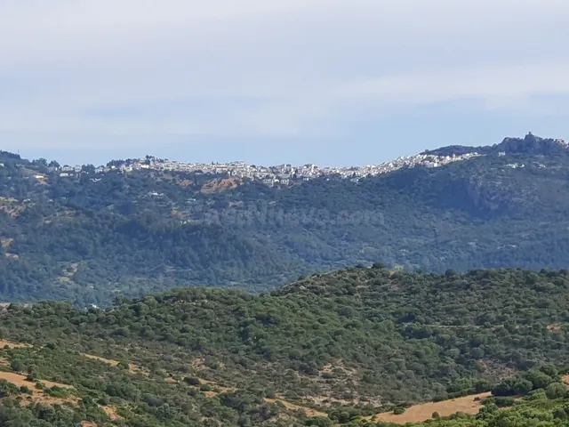 Parcela en venta - Costa Del Sol - foto 5