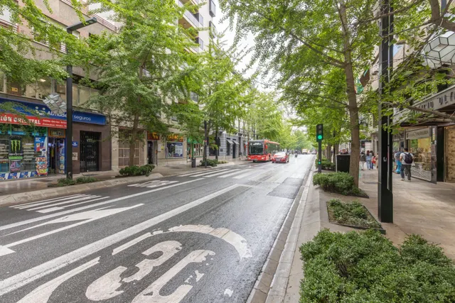 Amplio piso de 3 dormitorios en Gran Vía de Granada con cochera opcional — 40
