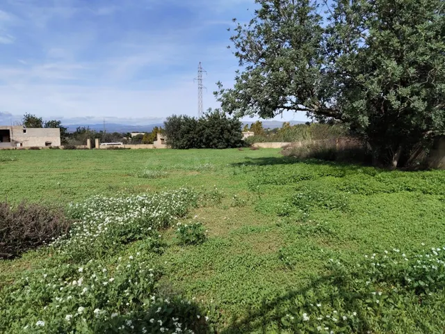 PARCELA URBANA EN LLIRIA - foto 2