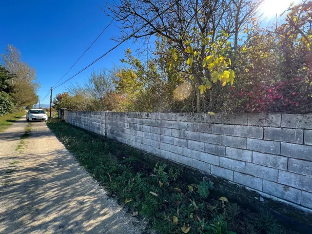 SE VENDE FINCA RUSTICA EN CARRACEDELO CON NAVE DE 350 M2 - foto 3