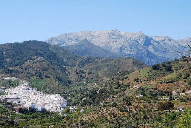 Hotel 33 habitaciones 1350m² en venta - South of spain — 49