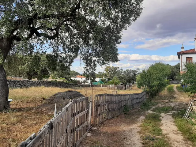 Terreno en el Monte del Casar - foto 3