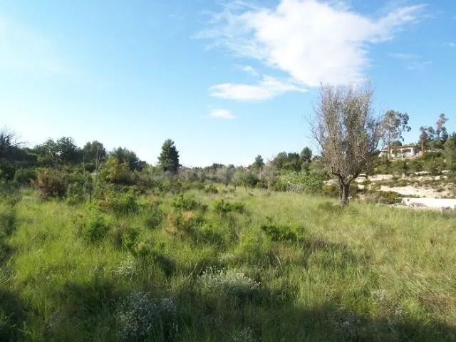 Terreno rústico de unos 8000 m2 en la Fuente de la Virgen .  - foto 2