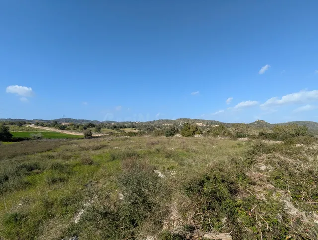 SOLAR RUSTICO EN SON SERVERA. - foto 3