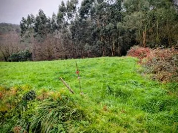 Terreno urbano en venta - Costa verde — 18