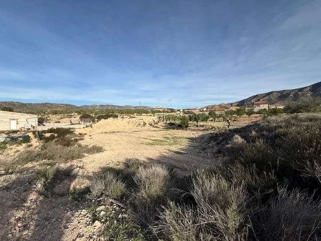 Venta  de terreno en Barinas (Abanilla) — 9