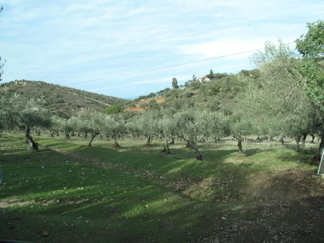 Finca de 7 Hectáreas con casa de campo en la Montaña - foto 3