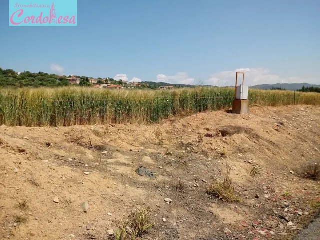 TERRENO EN CUEVAS BAJAS!!! — 5