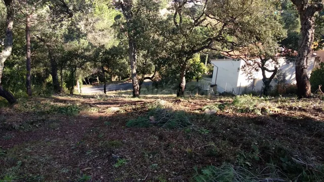 Terreno edificable - foto 5