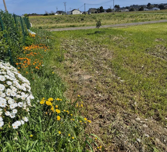PARCELA EN LA ZONA DE LOS CAMPOS, TAPIA DE CASARIEGO - foto 4