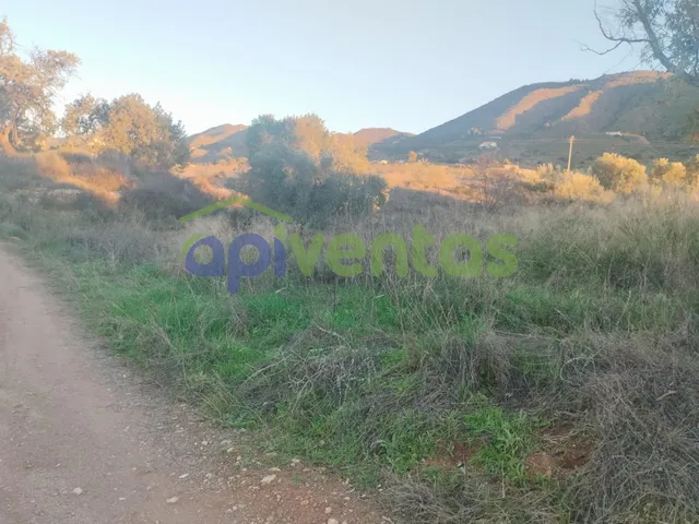 Casa de piedra con 61 hectáreas de terreno — 19