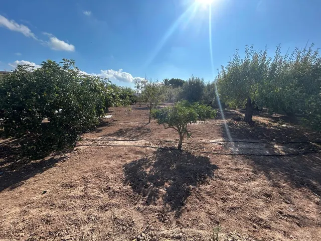FINCA RUSTICA EN VENTA, LA PUEBLA — 15