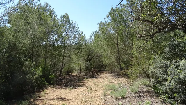Terreno en venta en Vilamarxant — 18
