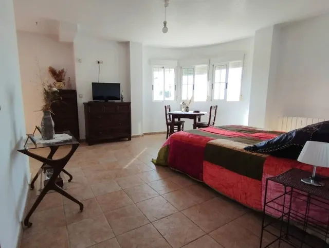Villa 6 habitaciones 338m² en venta - La Siesta - El Salado - Torreta — 18