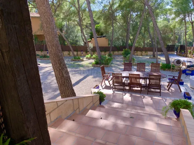 Villa de estilo mallorquín con amplio jardín de pinos en Cala Vinyes — 5