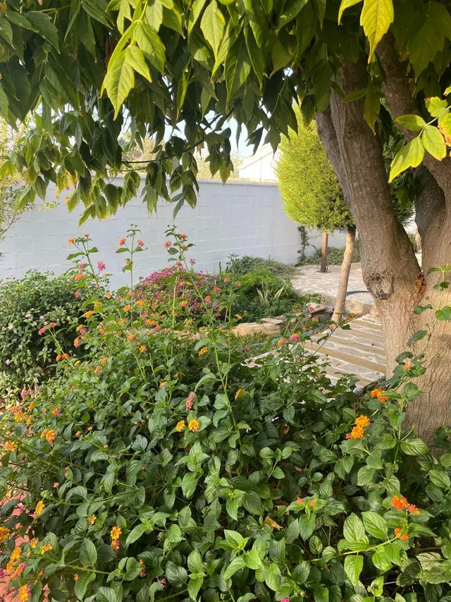 VENTA DE CHALET SEGREGADO EN LA DEHESILLA — 38