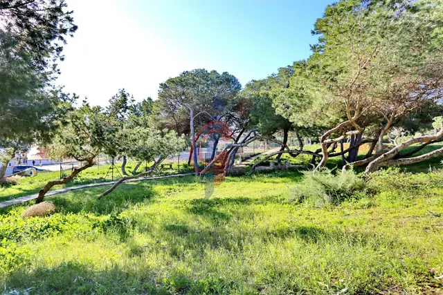 Espectacular bungalow en esquina con gran solárium, jardín privado y piscina en Guardamar del Segura — 48