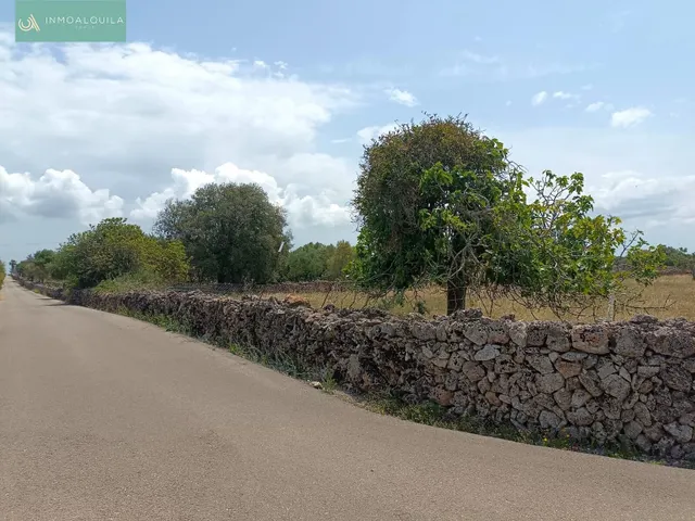 Finca edificable con proyecto — 4