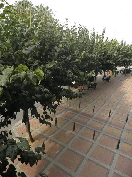 Piso de 3 dormitorios con garaje y trastero — 24