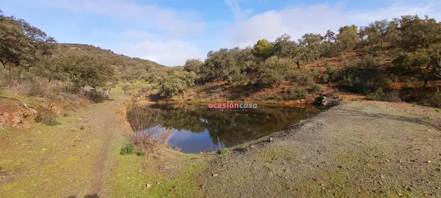 FINCA RUSTICA CON VIVIENDA — 24
