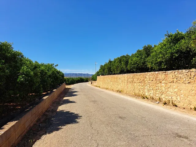 2 terrenos rurales en Carcaixent - Pujada de Maseres - foto 4