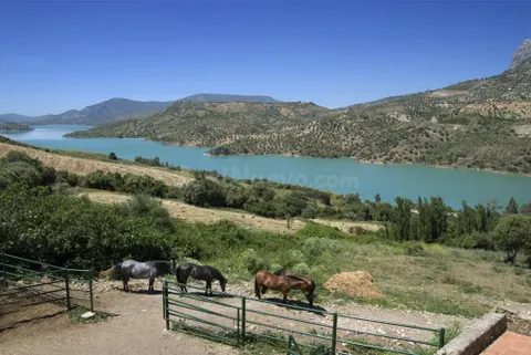Casa de campo-Masía en Venta en Montecorto Málaga
