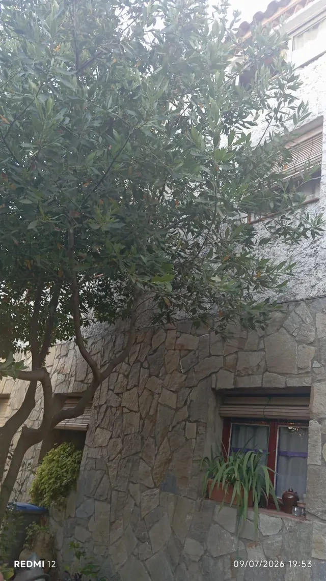 INCREIBLE CASA FAMILIAR CON SOLERA — 6